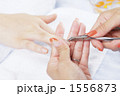 1556873
