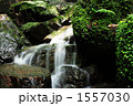 苔蒸す岩