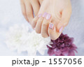 1557056