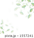 1557241