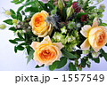 Caramel Antique Rose