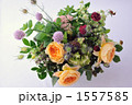 Caramel Antique Rose
