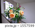 Caramel Antique Rose
