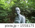 1558175