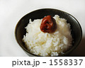 1558337