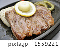 1559221