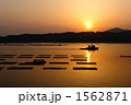 1562871