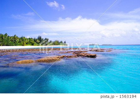 「海 南国 サンゴ 珊瑚礁 」の写真素材