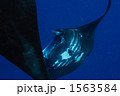 1563584