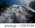 1563598