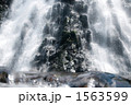 1563599