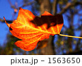 1563650