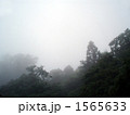1565633