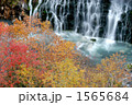 1565684