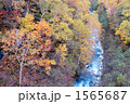 1565687