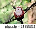 サルの涼