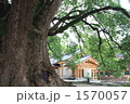 福岡県 太宰府市