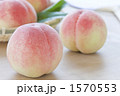 夏のイメージ