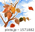 木枯らし