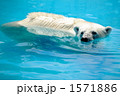 maruyama．zoo