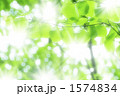 1574834