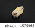 親知らず
