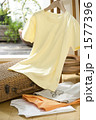 夏　Tシャツ