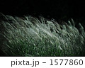 風が吹く