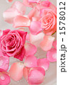 薔薇 フラワーバス 花