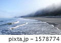 オリンピック国立公園の海岸