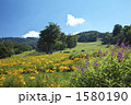 群馬　玉原ラベンダーパーク