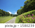 群馬　玉原ラベンダーパーク