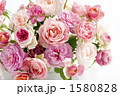  薔薇・ピンクのスプレーバラアレンジメント