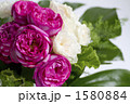  薔薇・品種名／イブピアッチェの花束