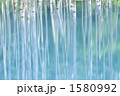 美瑛「青い池」