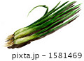 青ネギ、１０７２２pix.