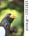 1581825