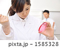 1585328