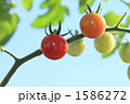1586272