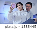1586445