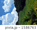 高原の雲