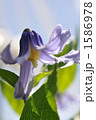 1586978