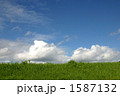 夏の空