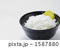 ご飯と沢庵