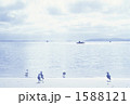 海の色
