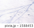1588453