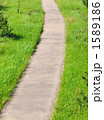 1589186