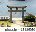 田島神社・鳥居
