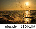 1590109