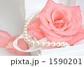 1590201